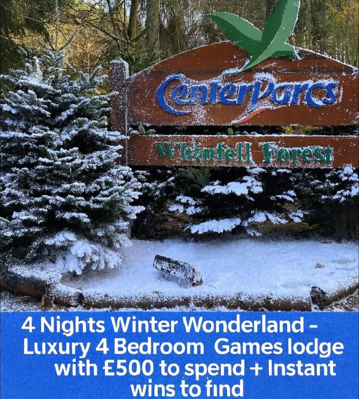 Center Parcs Winter Wonderland