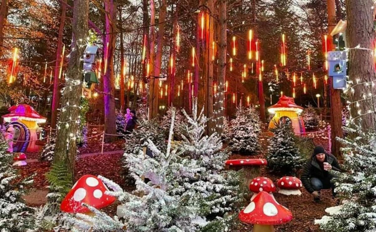 Center Parcs Winter Wonderland - Image 5